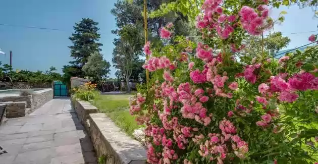 Villa Antique with private Pool on the Island of Cres