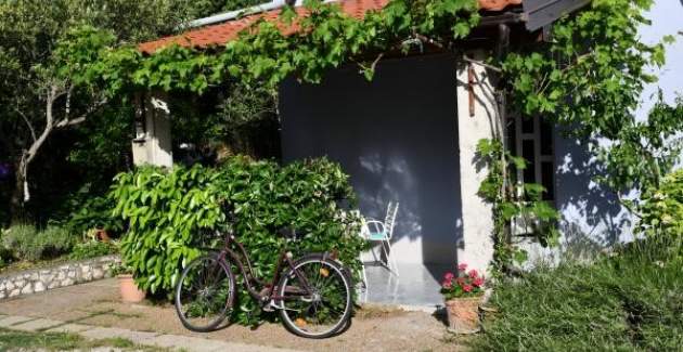 Apartments Novotny - Ein Schlafzimmer mit Terrasse - Zuti