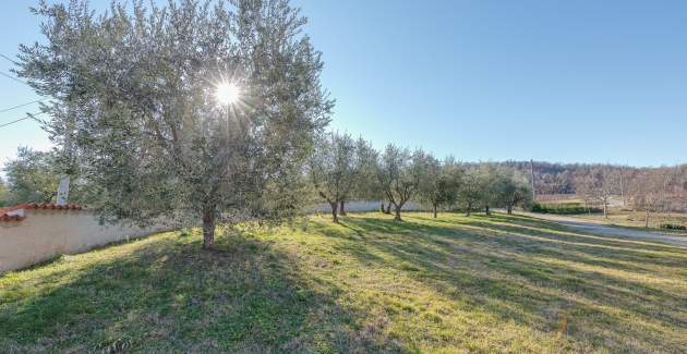 Appartamento Lavanda Oklen