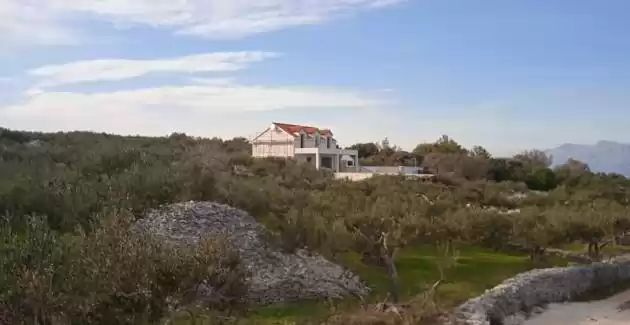 Villa Olive Paradise on Brac Island