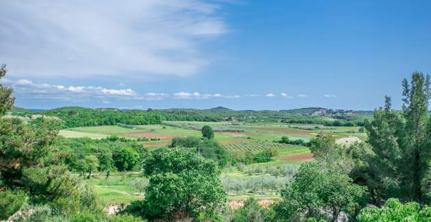 Apartment Dado VI with Garden View