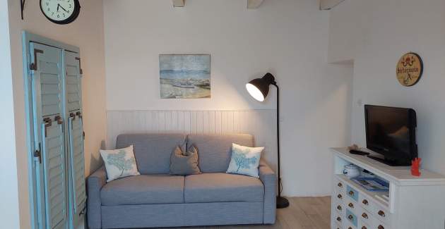 Studio Apartment Parenzana
