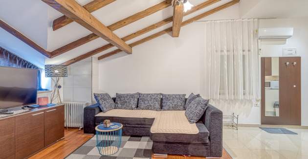 Monthly rent/Two Studio Apartments