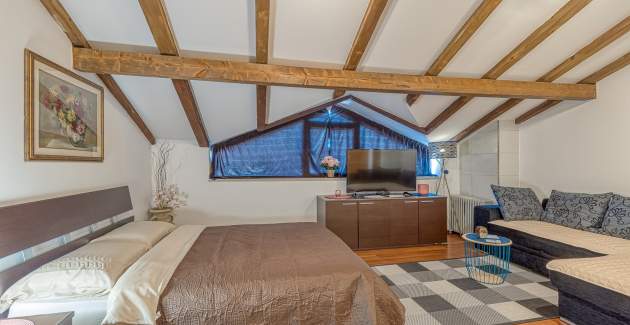 Monthly rent/Two Studio Apartments