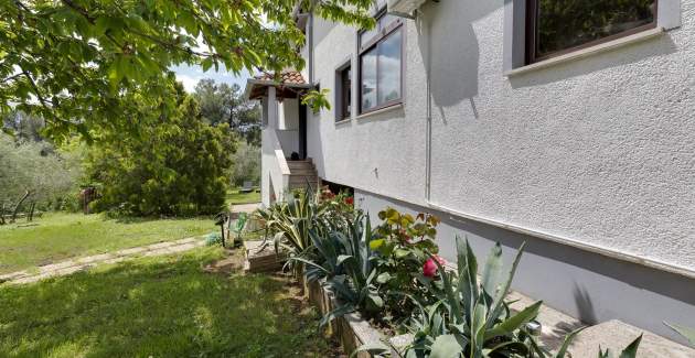 Studio-Apartment Dado I Porec