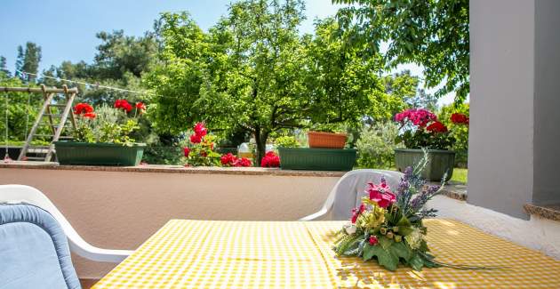 Nicely furnished Apartment Dado V with Terrace 