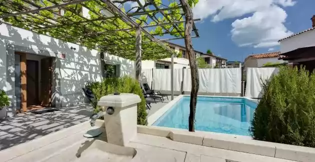 Ferienhaus Planik mit privatem Pool