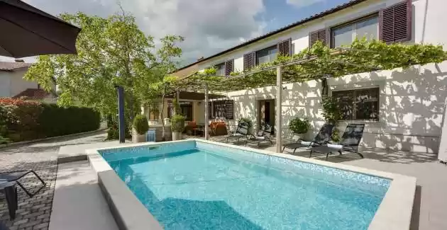 Ferienhaus Planik mit privatem Pool