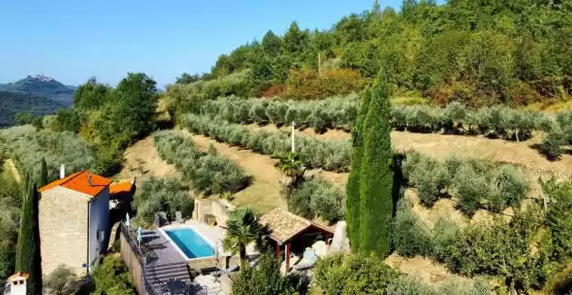 Villa Trüffel Garten - Livade
