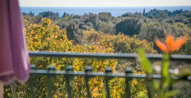 Apartman Mareonda 101