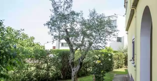 Appartamenti Zonta - Appartamento con Galleria e Vista Mare Parziale