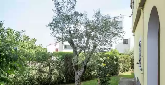 Apartmani Zonta - Studio s francuskim balkonom i pogledom na more