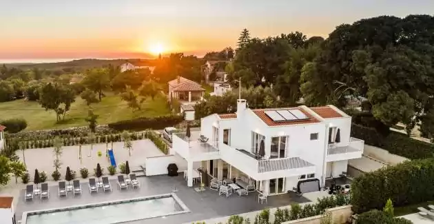 Family Oasis Belladonna