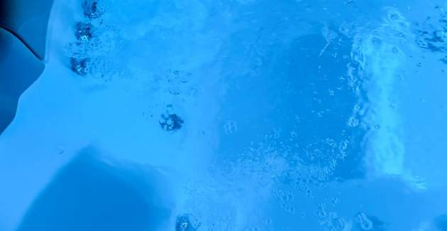 Family Oasis Belladonna