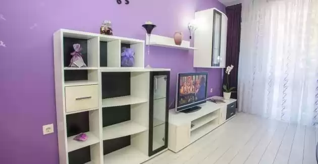 Apartman Mirjana s balkonom u centru grada