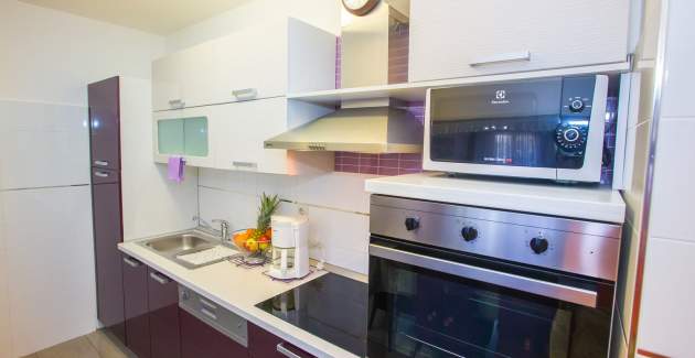 Apartman Mirjana s balkonom u centru grada