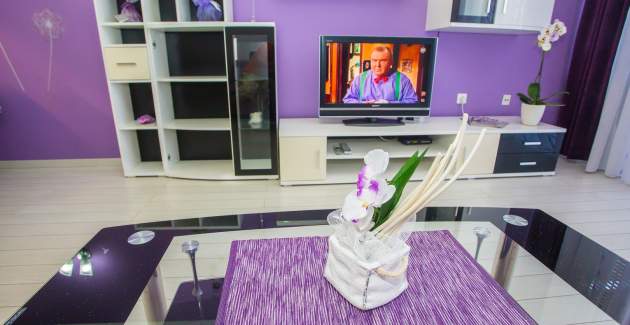 Apartman Mirjana s balkonom u centru grada