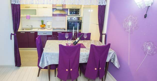 Apartman Mirjana s balkonom u centru grada
