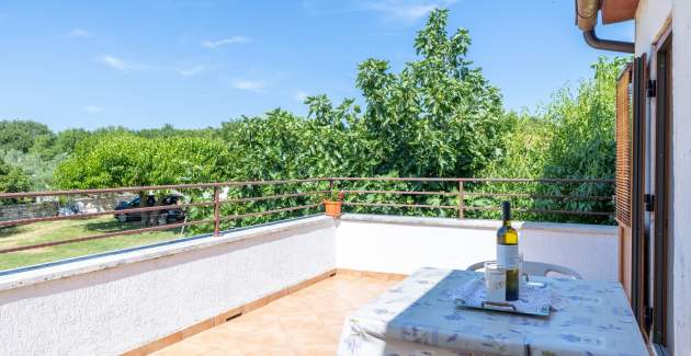 Apartment Stari Brist
