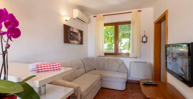 Apartment Stari Brist