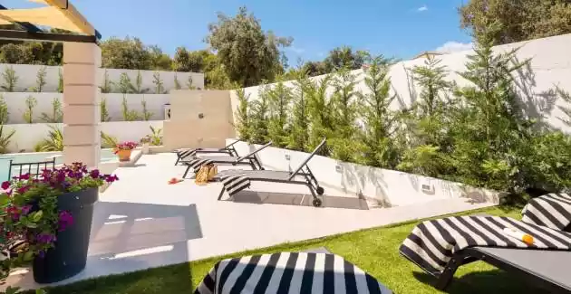 Vila Leylandii