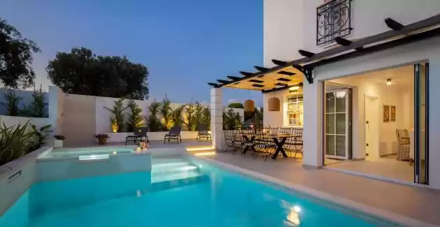 Vila Leylandii