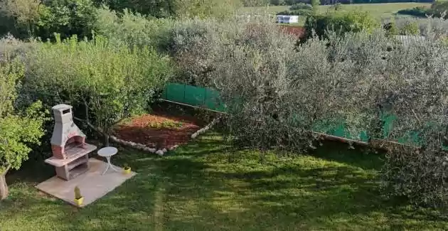 Petar in Begi