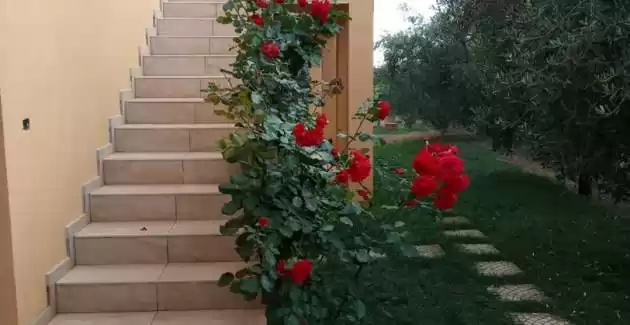 Petar in Begi