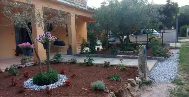 Petar in Begi