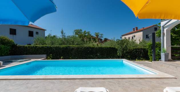  Holiday Home Davor with Pool