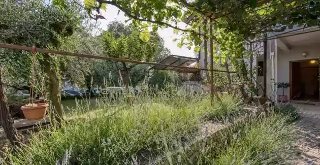 Appartamenti Gina - A1 Monolocale con terrazza