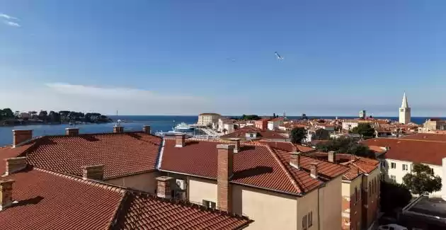 Viktoria's Apartments / Studio