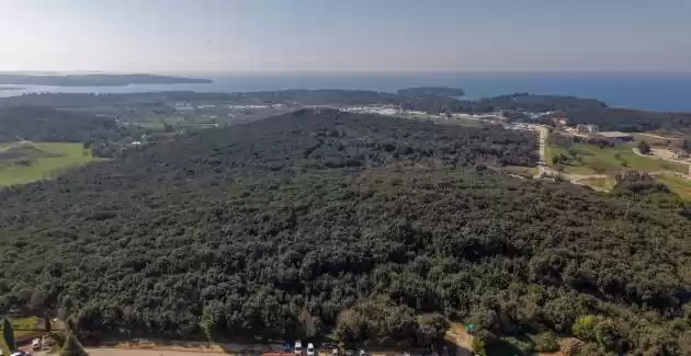 Milankovic Apartments - Appartmento A1