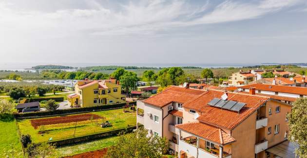 One bedroom Apartment Klaudio