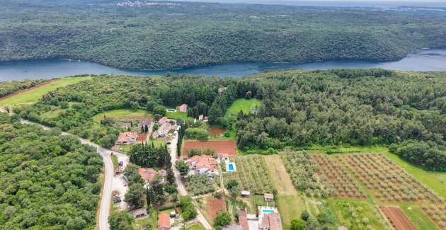 App Matosevic Lim Fjord
