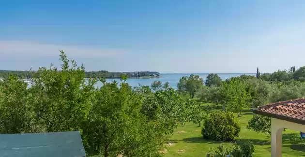 Apartman Saladinka I