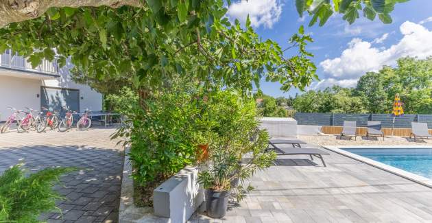 Holiday Home Vita with Private Pool