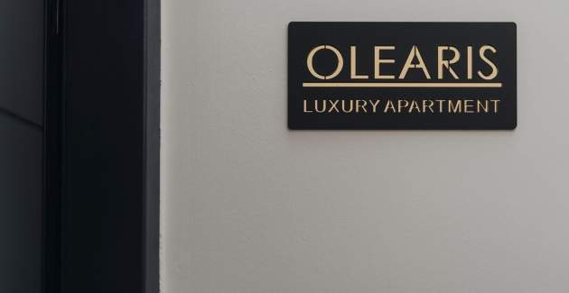 Luxury Apartment Olearis