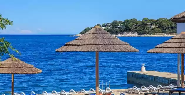 Apartment Tomicic I Porec