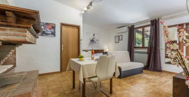 Studio Apartment Rakovac I