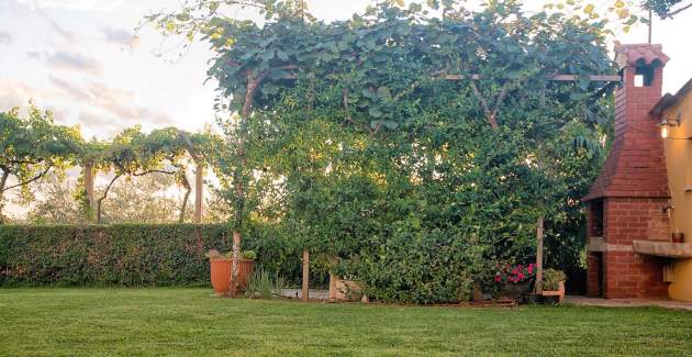 One-Bedroom Apartment Sandra II with Terrace and Garden View