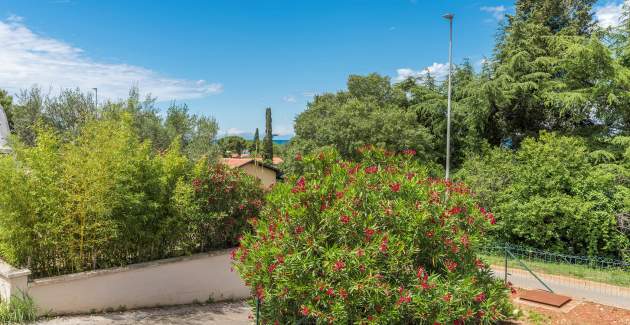 Apartment Raul with Balcony in Dajla