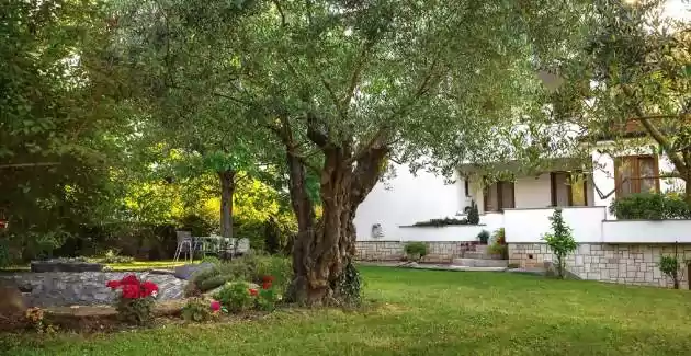 Ferienwohnung  Fiskus I mit 2 Schlafzimmern und mit Terrasse