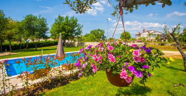 Apartments Jakici I with Pool View , on horse ranch