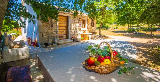 Rustic Holiday House Legovic