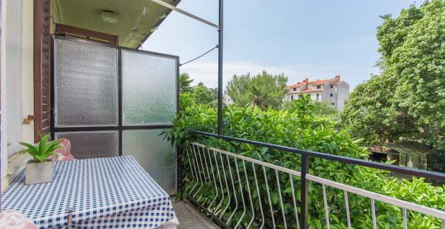 Studio Apartment Sauko Plavi with Balcony
