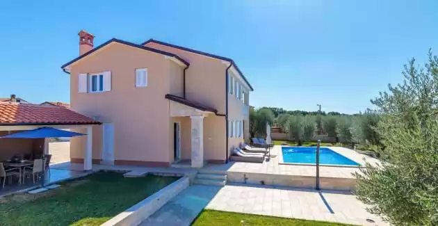 Villa Terlevic with Pool surrounded by Olive Groves