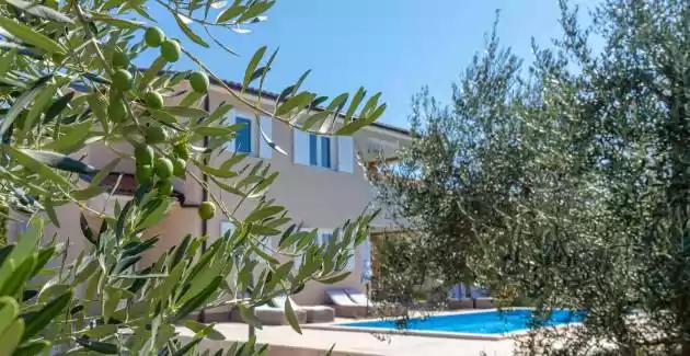 Villa Terlevic with Pool surrounded by Olive Groves