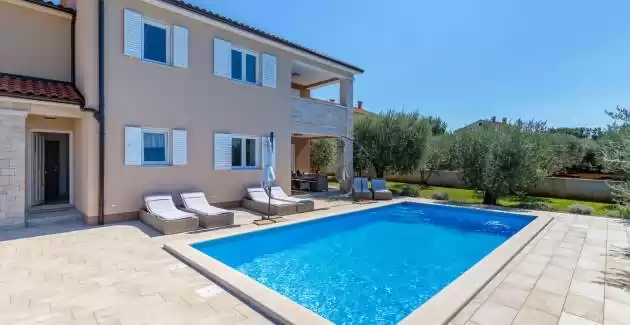 Villa Terlevic con piscina circondata da uliveti