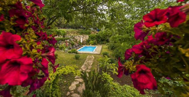 Casa Katarina&Luka 